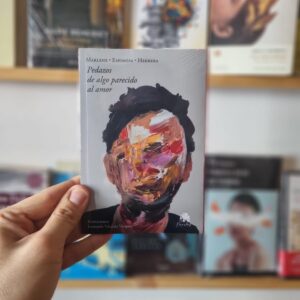 Pedazos de algo parecido al amor