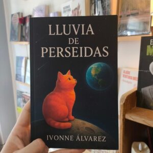 Lluvia de Perseidas - Ivonne Álvarez